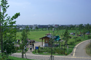 写真：神明公園