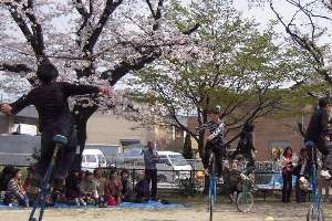 新栄コミュニティふれあい祭の写真