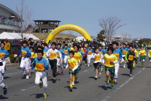 第4回とよやまエアポートビューマラソンの写真