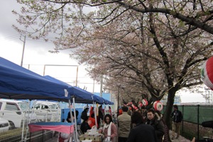 名古屋空港桜まつりの写真