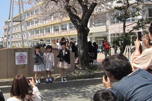 志水小学校入学式の写真