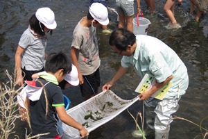 水生生物調査の写真