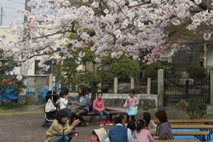 桜まつりの写真