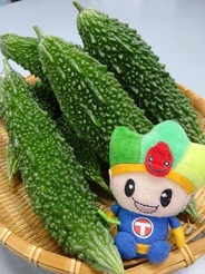 ゴーヤの画像